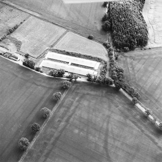 Oblique aerial view centred on the cropmarks of hollow trackways and rig, taken from the NW.