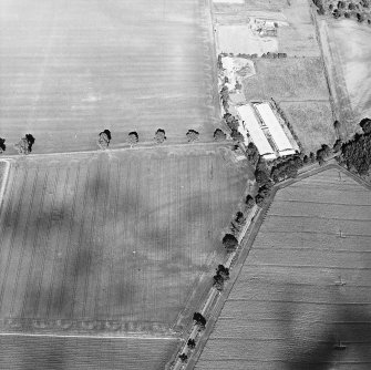 Oblique aerial view centred on the cropmarks of the trackways and rig, taken from the WSW.