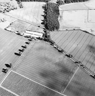 Oblique aerial view centred on the cropmarks of the trackways and rig with linear cropmarks and possible hollow-ways adjacent, taken from the NW.