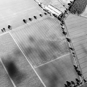 Oblique aerial view centred on the cropmarks of the trackways and rig, taken from the W.