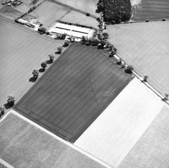 Oblique aerial view centred on the cropmarks of the trackway, taken from the NW.