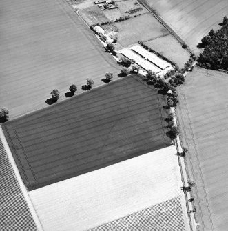 Oblique aerial view centred on the cropmarks of the trackway, taken from the WNW.