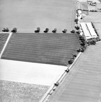 Oblique aerial view centred on the cropmarks of the trackway, taken from the WSW.