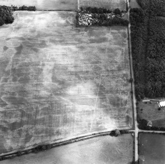 Myreside, oblique aerial view, taken from the W, showing cropmarks, including those of a ring ditch and a possible pit-defined enclosure, in the centre. A linear cropmark runs up the centre of the photograph. Further cropmarks, of a pit alignment and a possible enclosure, are visible in the top left-hand corner.