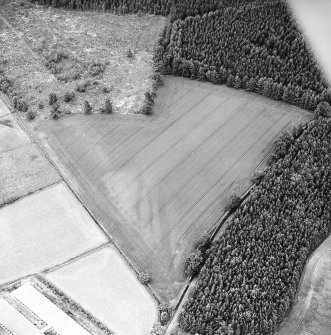 Oblique aerial view centred on linear cropmarks and possible hollow-ways, taken from the WNW.