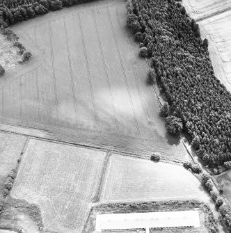 Oblique aerial view centred on linear cropmarks, taken from the NNW.