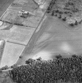 Oblique aerial view centred on linear cropmarks, taken from the WSW.