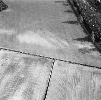 Oblique aerial view centred on soilmarks at the NW end of the Cleaven Dyke.