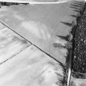 Oblique aerial view centred on soilmarks at the NW end of the Cleaven Dyke.