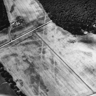 Oblique aerial view centred on cropmarks of the cursus with other cropmarks adjacent.