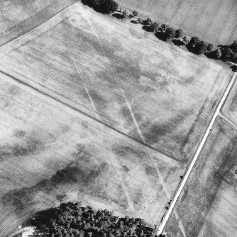 Oblique aerial view centred on cropmarks of the cursus with other cropmarks adjacent.