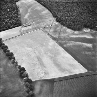 Oblique aerial view centred on cropmarks of the cursus with other cropmarks adjacent.