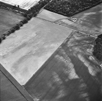 Oblique aerial view centred on cropmarks of the cursus with other cropmarks adjacent.