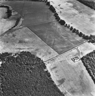 Oblique aerial view centred on cropmarks of the cursus with other cropmarks adjacent.