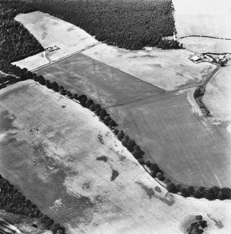 Oblique aerial view centred on cropmarks of the cursus with other cropmarks adjacent.