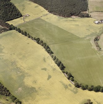 Oblique aerial view centred on cropmarks of the cursus.