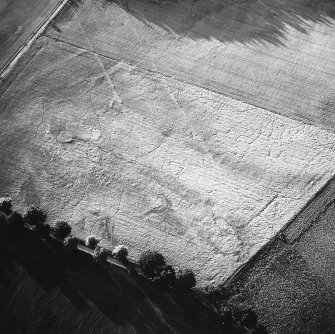 Oblique aerial view centred on cropmarks of the cursus with other cropmarks adjacent.