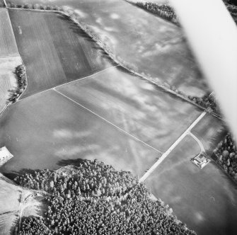 Oblique aerial view centred on soilmarks of the cursus.