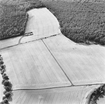 Oblique aerial view centred on cropmarks of the cursus, taken from the ESE.
