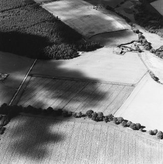 Oblique aerial view of the Cleaven Dyke centred on the cropmarks of a cursus, taken from the S.