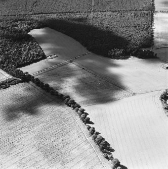 Oblique aerial view of the Cleaven Dyke centred on the cropmarks of a cursus, taken from the SE.