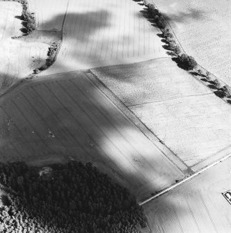 Oblique aerial view of the Cleaven Dyke centred on the cropmarks of a cursus, taken from the WNW.