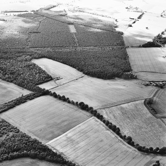 Oblique aerial view centred on the Cleaven Dyke cursus, taken from the SE.