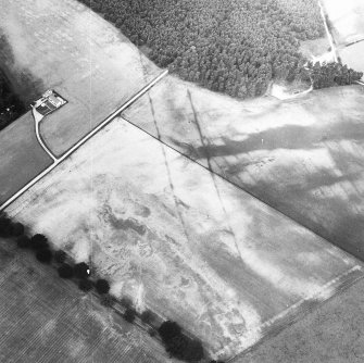 Oblique aerial view centred on cropmarks of the cursus with other cropmarks adjacent.