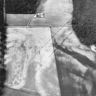 Oblique aerial view centred on cropmarks of the cursus with other cropmarks adjacent.