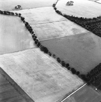 Oblique aerial view centred on cropmarks of the cursus.