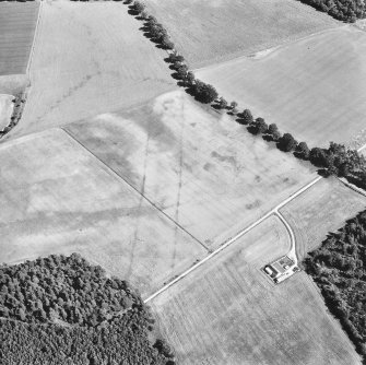 Oblique aerial view centred on cropmarks of the cursus with other cropmarks adjacent.