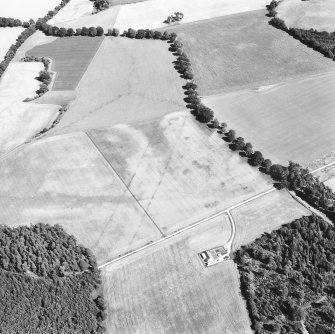 Oblique aerial view centred on cropmarks of the cursus with other cropmarks adjacent.