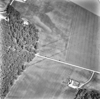 Oblique aerial view centred on cropmarks of the cursus with other cropmarks adjacent.