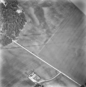 Oblique aerial view centred on cropmarks of the cursus with other cropmarks adjacent.