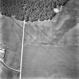 Oblique aerial view centred on cropmarks of the cursus with other cropmarks adjacent.