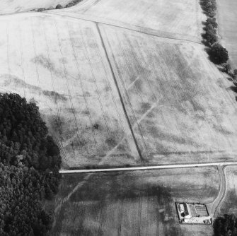 Oblique aerial view centred on cropmarks of the cursus with other cropmarks adjacent.