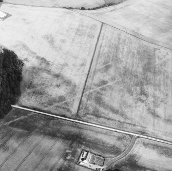 Oblique aerial view centred on cropmarks of the cursus with other cropmarks adjacent.