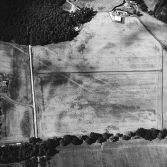 Oblique aerial view centred on cropmarks of the cursus with other cropmarks adjacent.