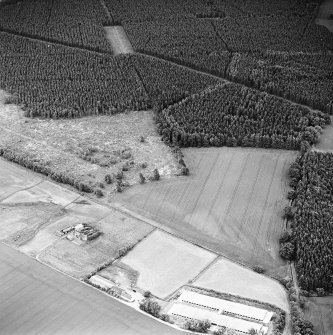 Oblique aerial view centred on the remains of the cursus, linear cropmarks and possible hollow-ways, taken from the NW.