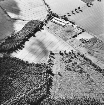 Oblique aerial view centred on the remains of the cursus, linear cropmarks and possible hollow-ways with the cropmarks of the trackway adjacent, taken from the ESE.