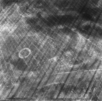 Rossie Drain: aerial view of cropmarks.