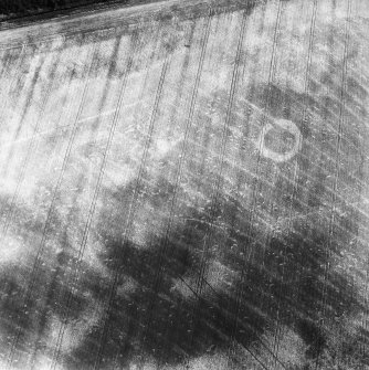 Rossie Drain: aerial view of cropmarks.
