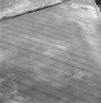Oblique aerial view centred on the cropmarks of an enclosure, taken from the SE.