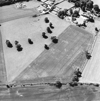 Oblique aerial view centred on linear cropmarks with country house, farmhouse and cottage adjacent, taken from the NE.