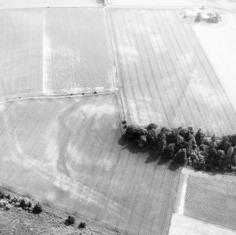 Oblique aerial view.