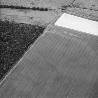 Oblique aerial view.