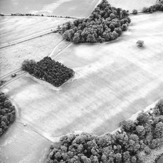 Mugdrum, oblique aerial view, taken from the NE, centred on an area defined as a cropmark complex and on a possible enclosure.