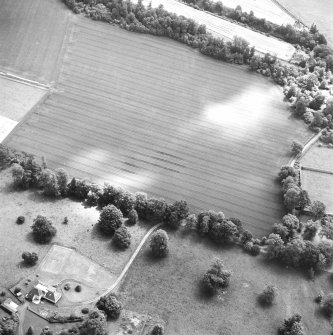 Oblique aerial view of Carpow centred on the cropmarks of a Roman fort and temporary camps, taken from the NW.