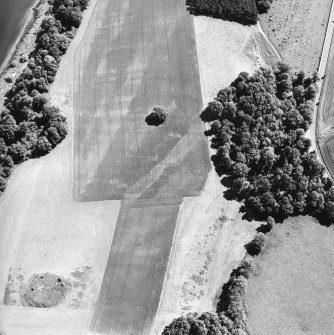 Oblique aerial view centred on the cropmarks of the enclosures, pits and rig, taken from the WSW.