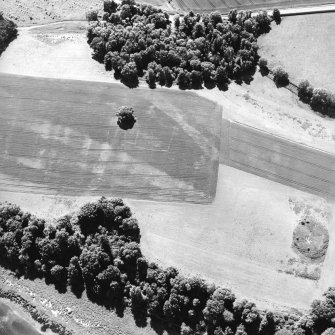 Oblique aerial view centred on the cropmarks of the enclosures, pits and rig, taken from the NNW.